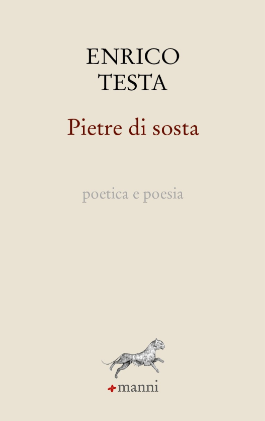 Pietre di sosta