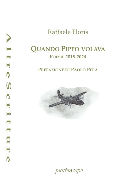 Quando Pippo volava